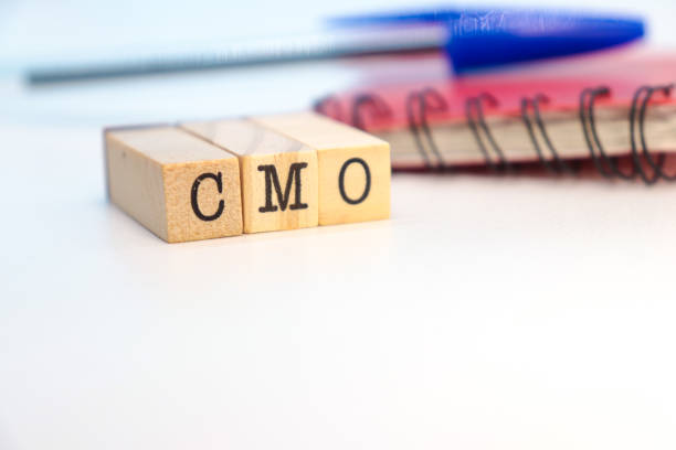 Who Needs a Fractional CMO?