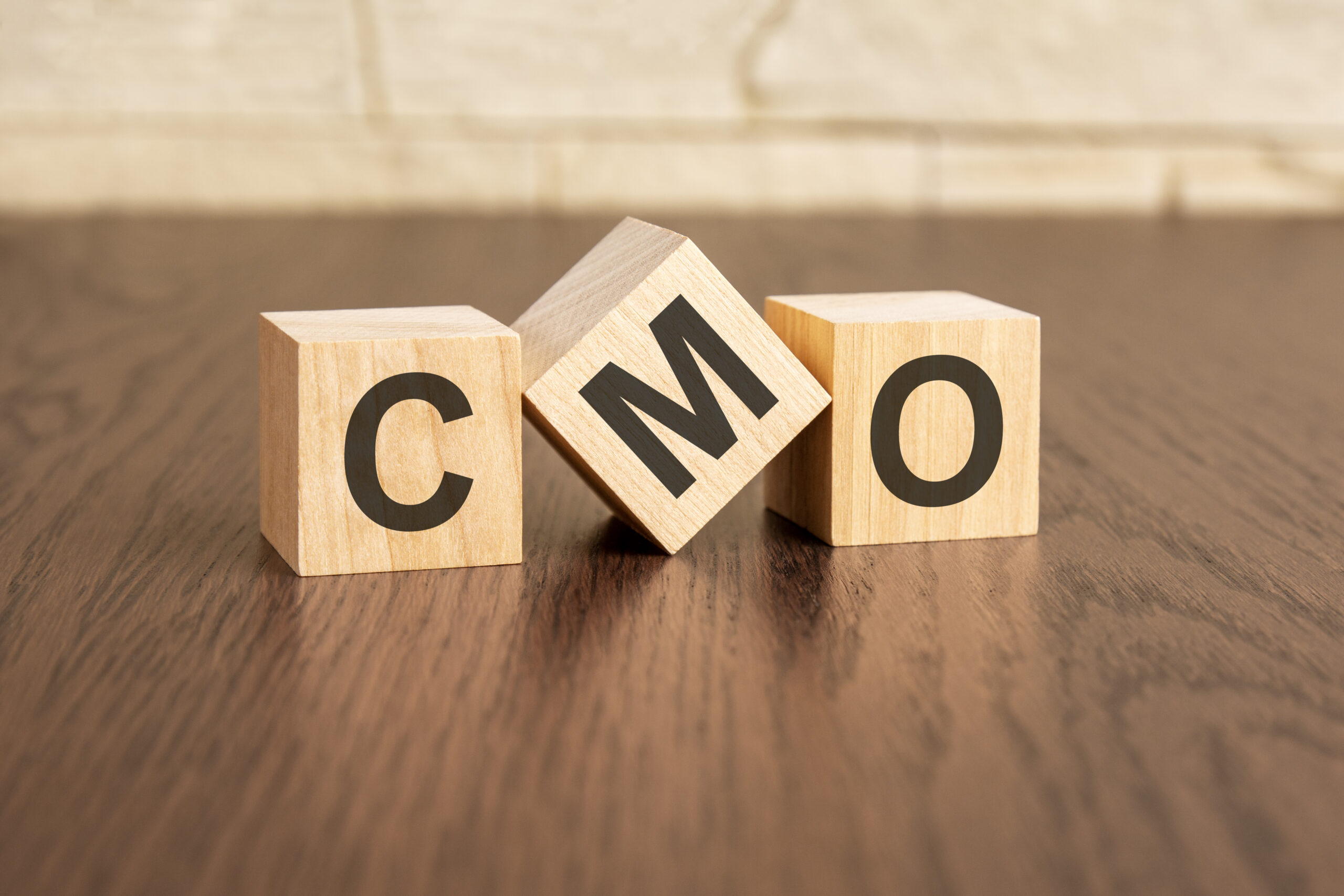 How a Fractional CMO Brings Clarity to Real Estate Marketing Chaos
