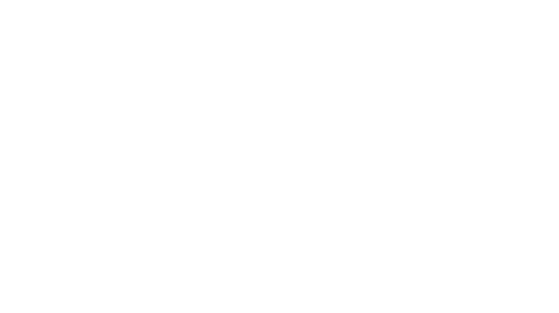express-logo-6