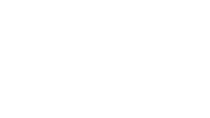 roar-cxo-logo